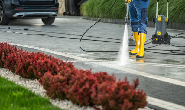 Best Affordable Pressure Washing  in Port Byron, NY