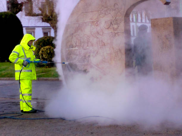 Best Fence Pressure Washing  in Port Byron, NY